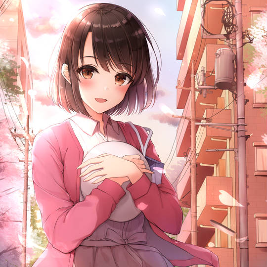 不起眼女主角培育法, 路人女主, 加藤惠, 樱, 夕阳, 恋爱, 河津桜, 路人女主的养成方法1000收藏