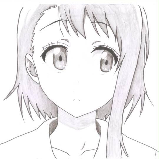 Nisekoi, 小野寺小咲, 伪恋, Haru, 伪恋图片