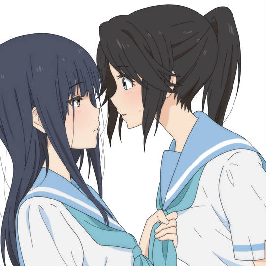 铠冢霙, 伞木希美, 希美×霙, 百合, 莉兹与青鸟, 吹响吧！上低音号, 吹响吧！上低音号1000收藏, これはいいのぞみぞ, のぞみぞマジ夫婦