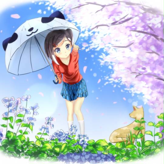 猫, 卧槽好可爱, 筒隐月子, 变态王子与不笑猫, 雨图片