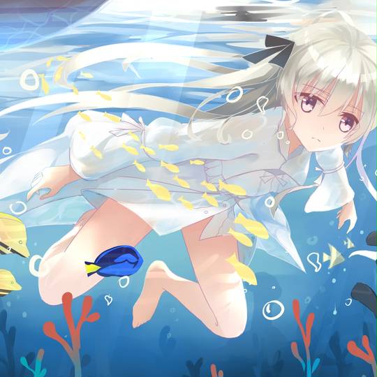 女孩子, 背景, 水, 春日野穹, Kasugano, 缘之空, 熱帯魚, 水下, 缘之空1000收藏