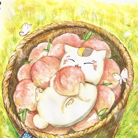 桃, 夏目友人帐, 喵先生图片