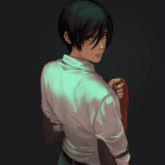 shingekinokyojin, attackontitan, mikasaackerman, aot, 三笠·阿克曼, 进击的巨人, 見返り美人図