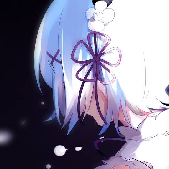 Re:从零开始的异世界生活, 雷姆, 雷姆 (Re:Zero), Re:0 1000收藏