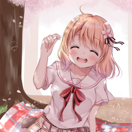 点兔, 水手服, 保登心爱, 樱花, 鸭子坐图片