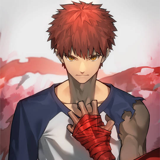 Fate, 卫宫士郎, 腕士郎图片