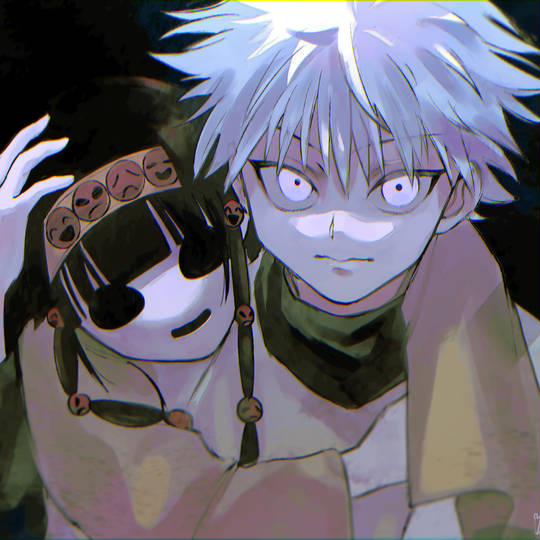 奇犽·揍敌客, 奇犽, killua, nanika, 全职猎人图片