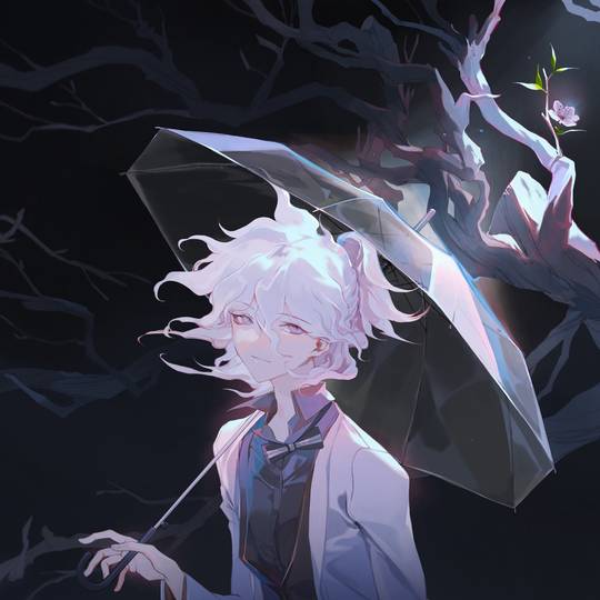 弹丸论破, 狛枝凪斗图片