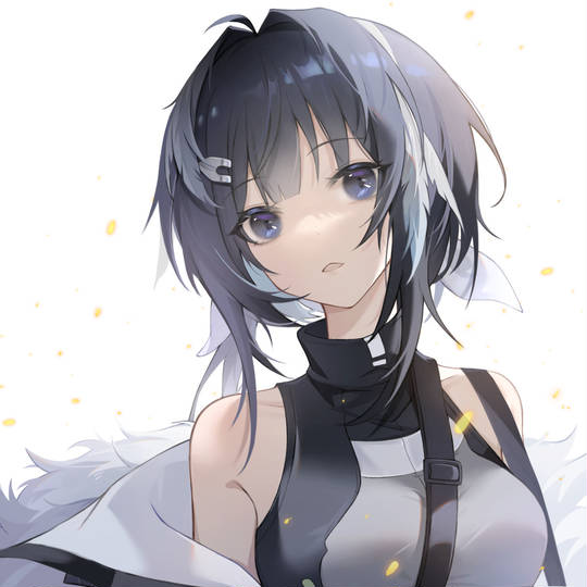 图片[11]-羽毛笔（La Pluma）《明日方舟》头像图片-萌图百科