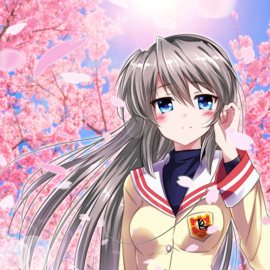 CLANNAD, 坂上智代, 京都动画, PrayForKyoani, 桜吹雪, 美少女, key500users入り