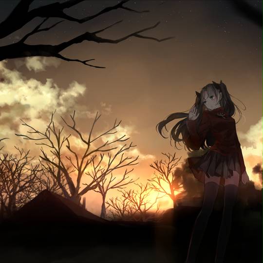 fate, 远坂凛, Fate, Fate/staynight, solo, Fate5000users入り