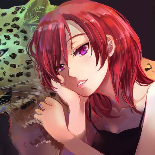 西木野真姬, 豹图片