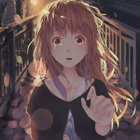 西宫硝子, 声之形, にしみやしょうこ, 西宮硝子