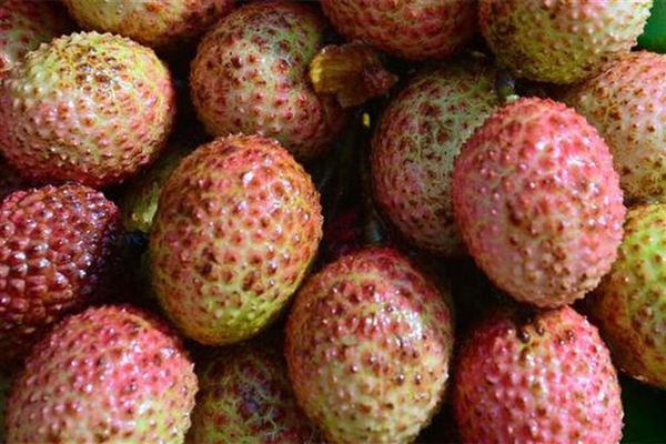 过量食用荔枝或引发“荔枝病”：严重时可导致昏迷-萌图百科