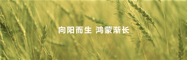 HDC 2025：HarmonyOS技术赋能全场景内容体验 驱动伙伴商业增长