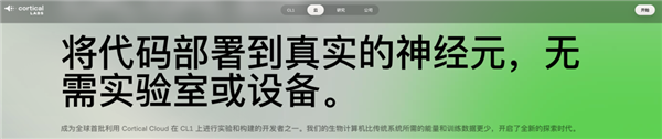 用人脑细胞跑AI 我快搞不懂这个世界了