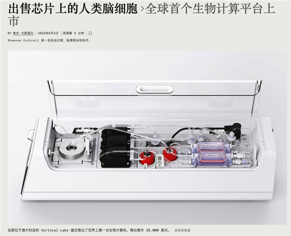 用人脑细胞跑AI 我快搞不懂这个世界了-萌图百科
