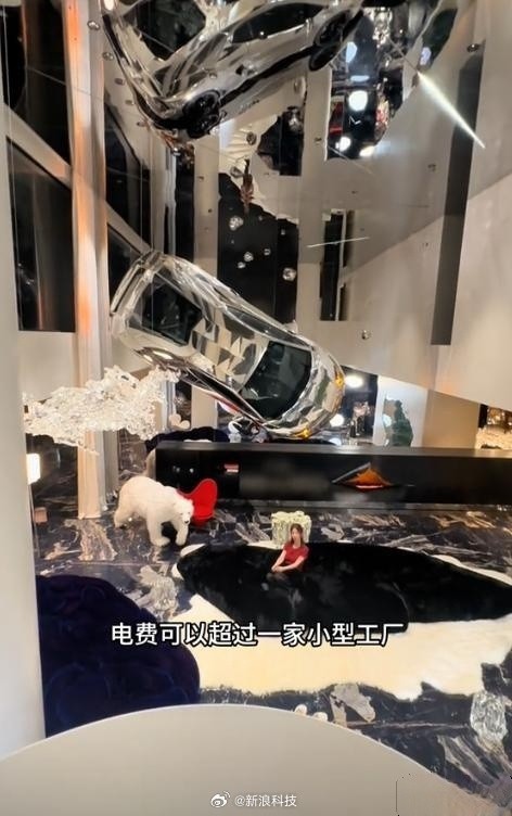 一年电费40万炫富网红被禁言：自称别墅装修费8000万