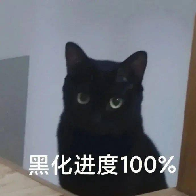 a775b408-a1a4-48d0-95ed-7ec8aaa31a03.png