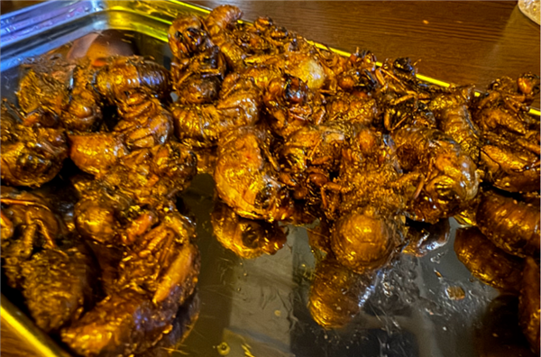 这些肉比鸡鸭鱼肉更有营养：但是很多人没吃过-萌图百科
