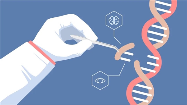 好事还是坏事：中国科学家成功让两只雄鼠产下可育后代