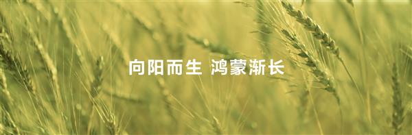 [MD:Title]