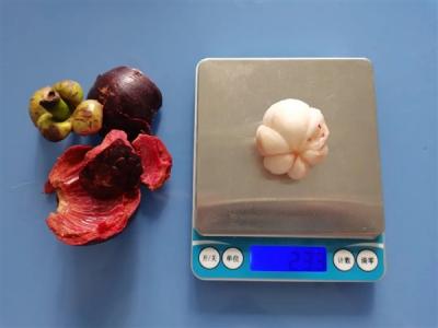 一种营养价值一般 热量还很高！但很贵的水果：劝你慎买-萌图百科