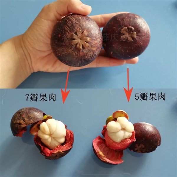 一种好吃、营养价值一般 热量还很高！但很贵的水果
