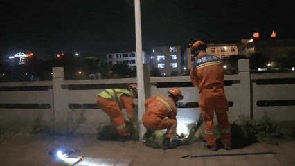 夜惊魂！3米巨蟒街头“闲逛” 3名消防员紧急出动-萌图百科