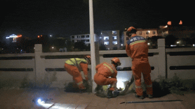 夜惊魂！3米巨蟒街头“闲逛” 3名消防员紧急出动-萌图百科