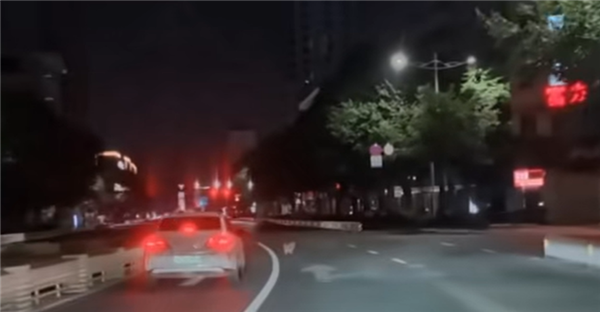 华为救了一条狗命-萌图百科