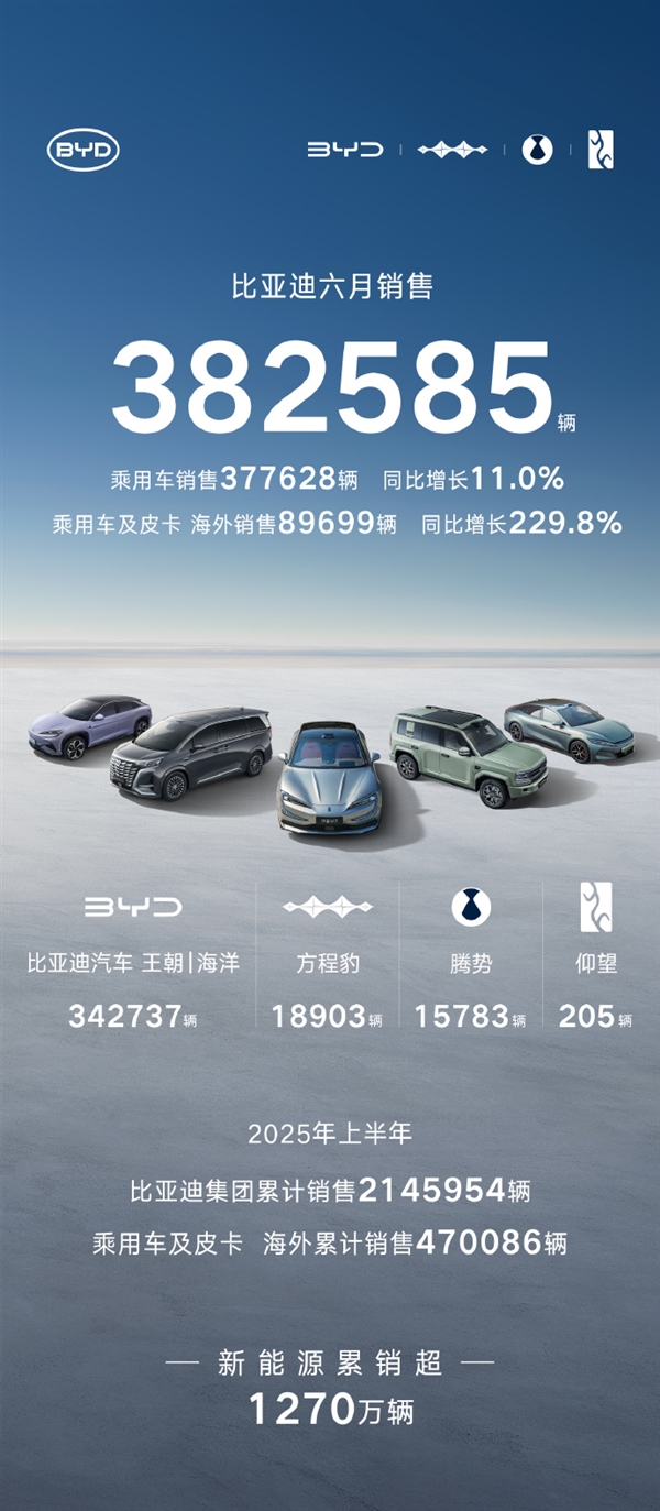比亚迪6月销售382585辆！今年已突破200万辆 大增33%-萌图百科