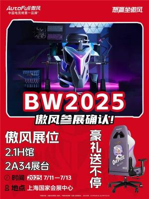 遇见傲风  酷玩椅夏！傲风确认参展BW2025  航海王主题展位热血集结！-萌图百科