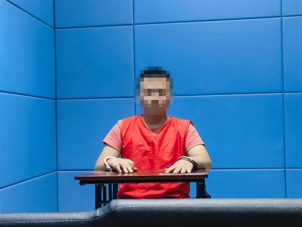 网络黑嘴落网：一男子诋毁维信诺生产“瞎x屏”被刑拘-萌图百科