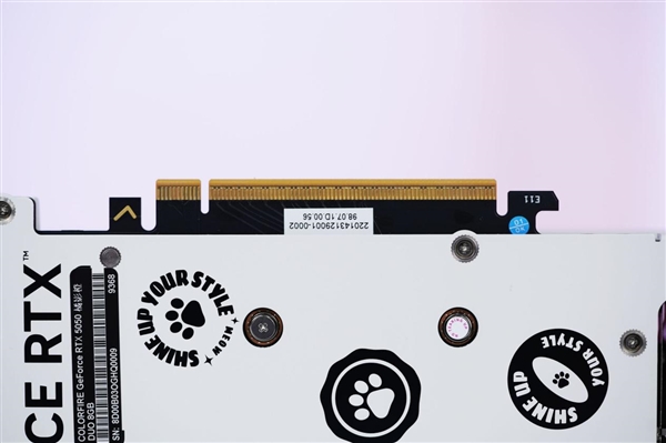 橘白小清新！七彩虹COLORFIRE RTX 5050 MEOW橘影橙DUO OC图赏