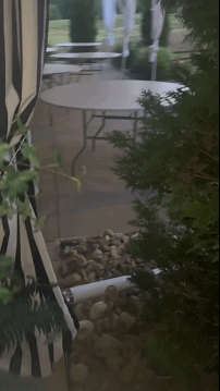 3DM轻松一刻第1496期 小妹看起来很放松心情不错-萌图百科