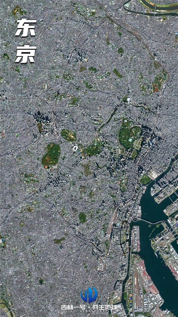 从卫星看国内外城市：绿化面积 云壤之别