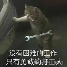 一份假简历领5份硅谷工资！印度老哥骗了一群AI初创公司-萌图百科