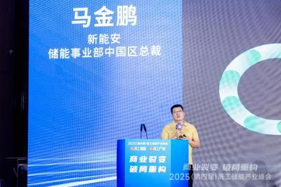 “小宁王”新能安荣获储能产业链TOP50 以长效价值矩阵重构工商储可持续发展路径-萌图百科