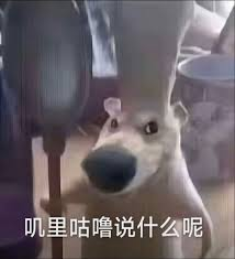 赛百味打工七年 这是一个数学教授的简历