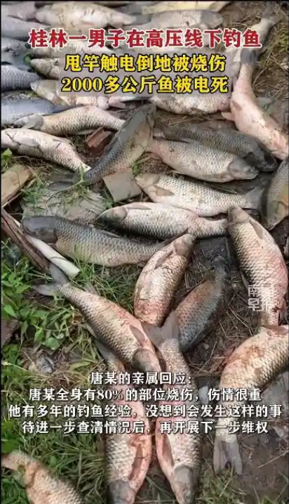 男子钓鱼竿碰到高压线致全身有80%烧伤 鱼塘4000斤鱼被电死-萌图百科