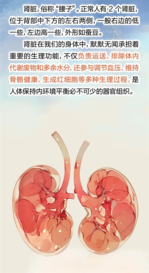 透支的肾是补不回来的！5个伤肾行为很多人都在做