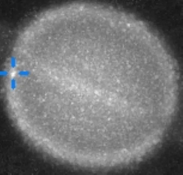 土星：我好像被一个不明物体撞了一下腰-萌图百科