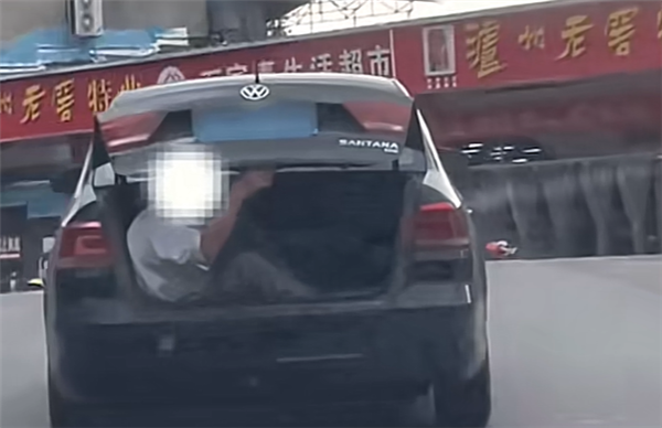 男子怕小猪崽中暑 让朋友坐后备厢照看：被罚100元记3分
