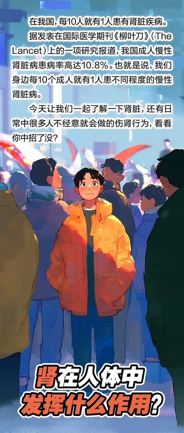 透支的肾是补不回来的！5个伤肾行为很多人都在做-萌图百科