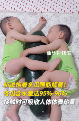 中医推荐夏日降暑奇招：抱冬瓜睡觉！含水量高达96% 洗净不削皮-萌图百科