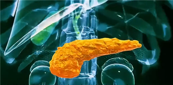 糖尿病突破！科学家成功3D打印全功能人类胰岛-萌图百科