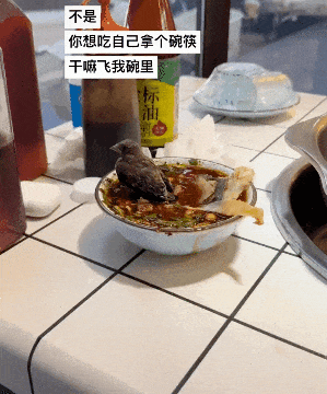 3DM轻松一刻第1500期 一看妹子就是专业学过舞蹈-萌图百科