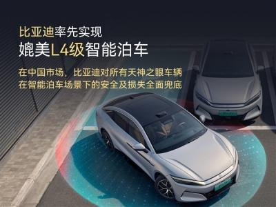 比亚迪承诺为智能泊车兜底损失：终身负责 无论是否首任车主-萌图百科
