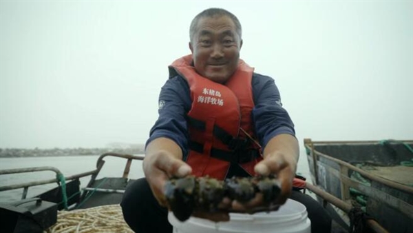 你们种在海底的“蚂蚁森林” 捞出海参了